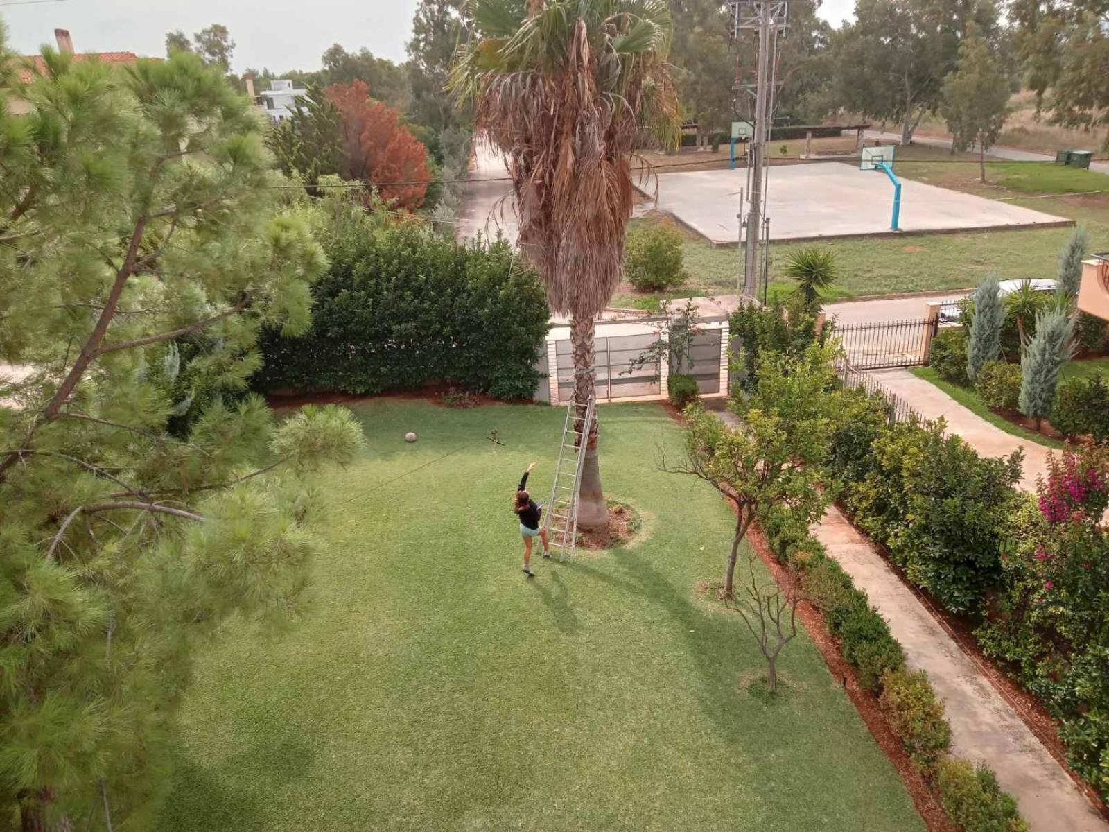 Virna S Home Schinias Dış mekan fotoğraf